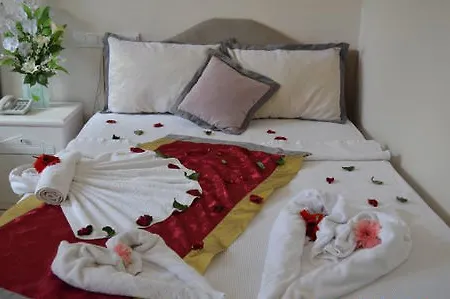 Yunus オルデニズ